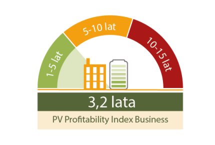 PVPI Business styczeń 2026